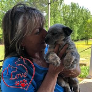 Meet your Posher, Patsy